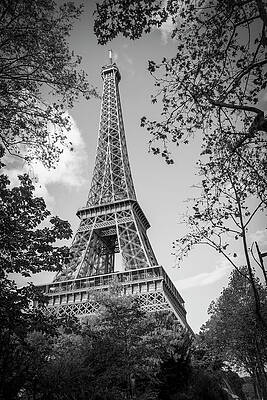Wall Art - Photograph - Eiffel Tower Framed by Trees BW by John Twynam