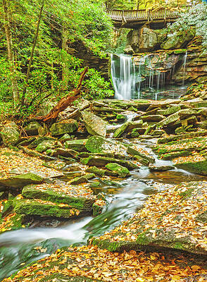 Elakala Falls #1 by Terri Schaffer - Life's Color Elakala Falls #1 by Terri Schaffer - Life's Color