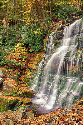 Elakala Falls #4 by Terri Schaffer - Life's Color Elakala Falls #4 by Terri Schaffer - Life's Color