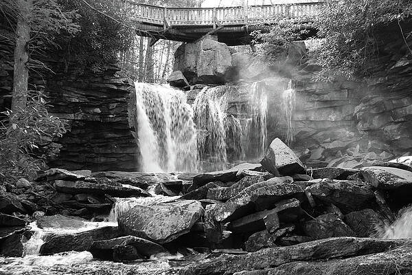 Elakala Falls Black And White by Dan Sproul Elakala Falls Black And White by Dan Sproul
