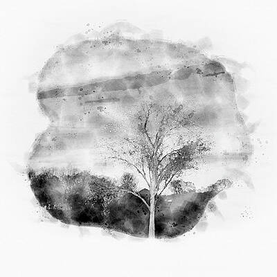 Elm by George Pennington Elm by George Pennington