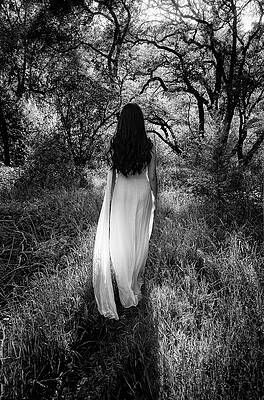 Enchanted forest by Peter Thoeny Enchanted forest by Peter Thoeny