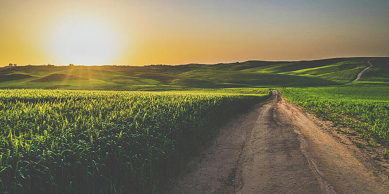 Endless Road by Mati Krimerman Endless Road by Mati Krimerman