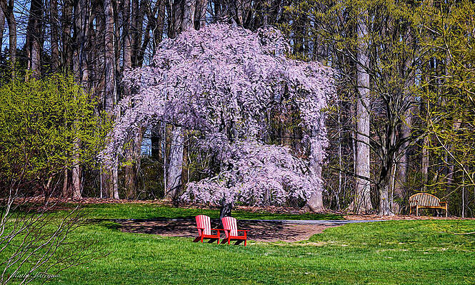 Wall Art - Photograph - Enjoying the View by Kathi Isserman