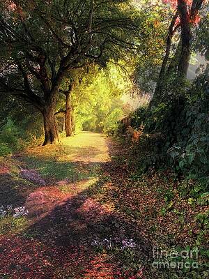 Enlightenment by Leslie Hunziker Enlightenment by Leslie Hunziker