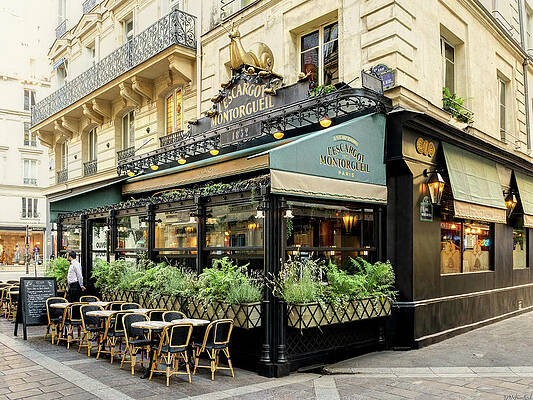 Escargot Montorgueil by Weston Westmoreland Escargot Montorgueil by Weston Westmoreland