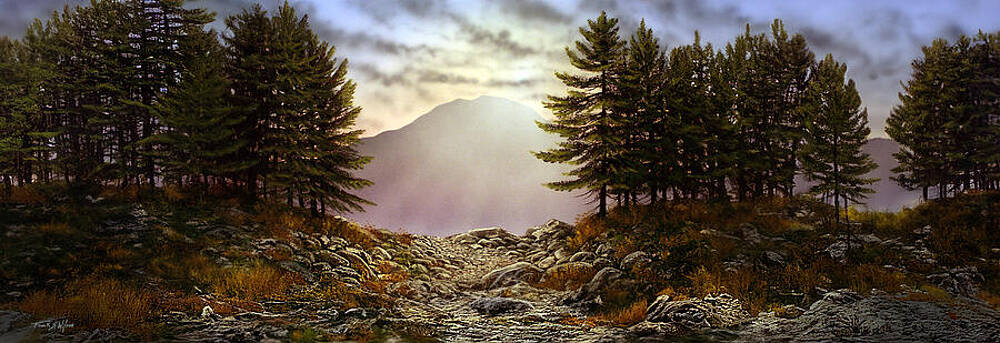 Wall Art - Painting - Evening Trail P by Frank Wilson