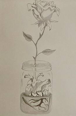 Wall Art - Drawing - Every rose has a heart by Austin Fagan