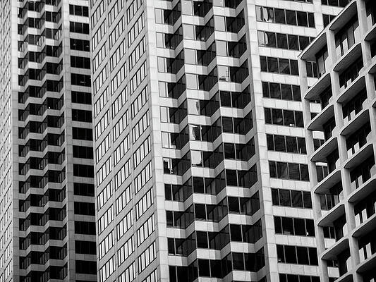 Wall Art - Photograph - Every Which Way by Christi Kraft