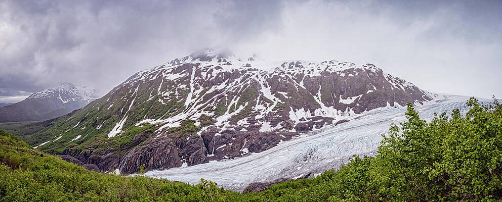 Exit Glacier Kenai Fjords National Park Alaska Panorama by Joan Carroll Exit Glacier Kenai Fjords National Park Alaska Panorama by Joan Carroll