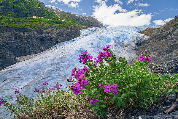 Exit Glacier by Kyle Lavey Exit Glacier by Kyle Lavey