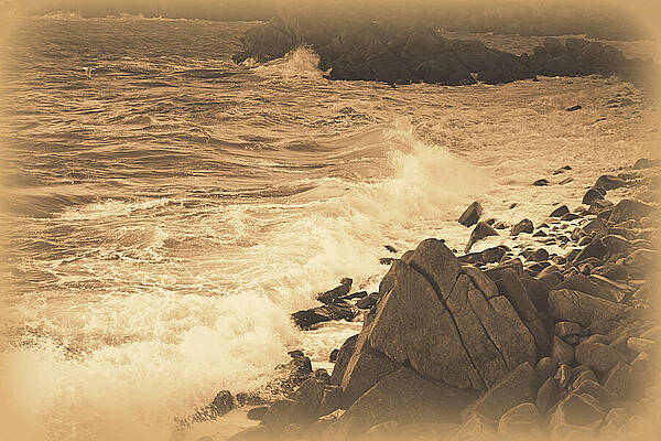 FAA280 Vintage Photograph. Wild Shoreline. by Thierry Vobmann