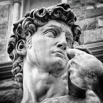 Michelangelo s David Photos for Sale Fine Art America