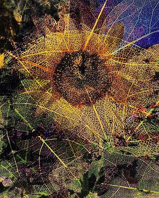 Fading into Fall by Rick Hurst Fading into Fall by Rick Hurst