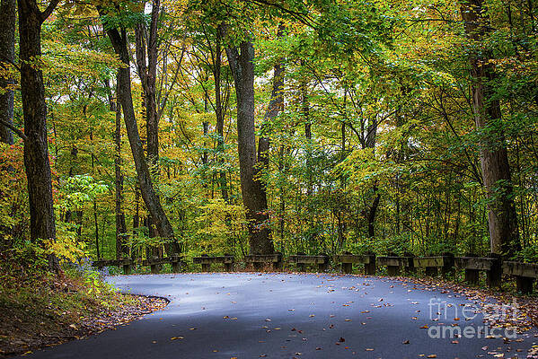 Fall Color Country Road - Clifty Park - Indiana by Gary Whitton Fall Color Country Road - Clifty Park - Indiana by Gary Whitton