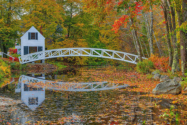 Wall Art - Photograph - Fall Colors at the Somesville Bridge at Acadia National Park Fall by Juergen Roth