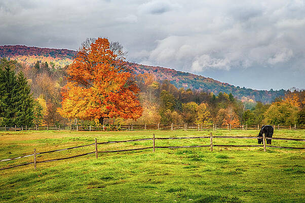 Fall colors over the Marsh-Billings NHS by Jeff Folger Fall colors over the Marsh-Billings NHS by Jeff Folger