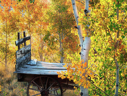 Fall in Fairplay by Joan Baker Fall in Fairplay by Joan Baker