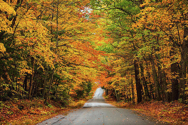 Fall in Gilmanton Ironworks by Robert Clifford Fall in Gilmanton Ironworks by Robert Clifford