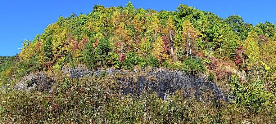 Fall in North Carolina by Ally White Fall in North Carolina by Ally White