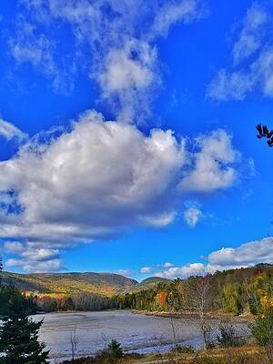 Fall in Vermont by Scott Levy