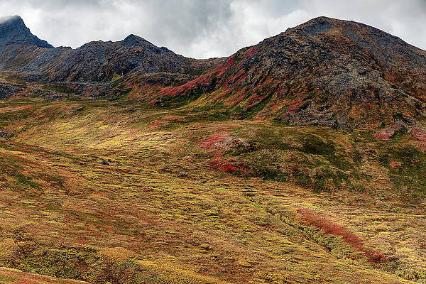 Fall on the Alaskan Tundra of Hatcher Pass in the Talkeetna Moun by Doug Holck Fall on the Alaskan Tundra of Hatcher Pass in the Talkeetna Moun by Doug Holck