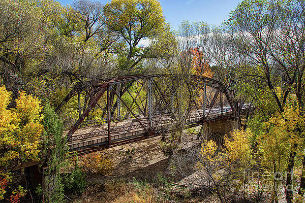 Fall Trees by Chuck Taylor Fall Trees by Chuck Taylor