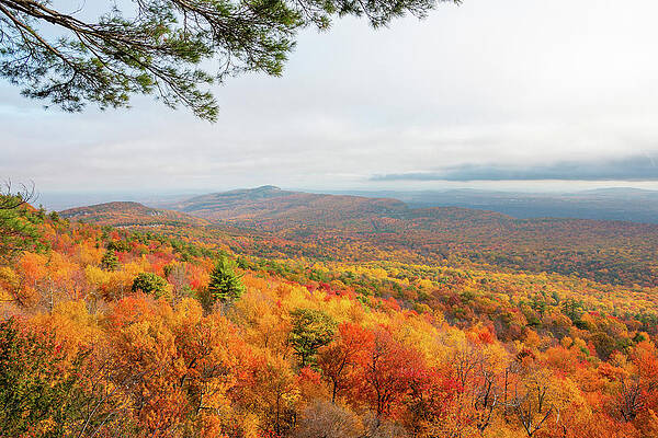 Fall View from Beacon Hill Loop by Jeff Severson Fall View from Beacon Hill Loop by Jeff Severson