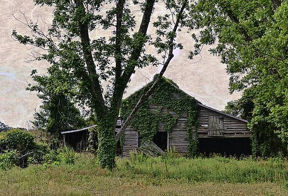 Falling Down Barn by Victor Montgomery Falling Down Barn by Victor Montgomery