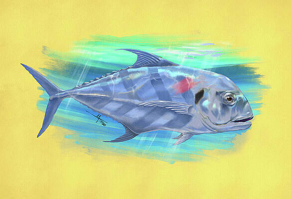 African Pompano Game Saltwater Fish Water Color Design 16x20 Aluminum Wall Art 