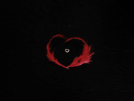 Feathery Heart by Deborah Reed