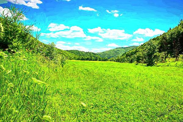 Feel the peacefulness of a tranquil summer day in Vermont. by Rusty R Smith Feel the peacefulness of a tranquil summer day in Vermont. by Rusty R Smith