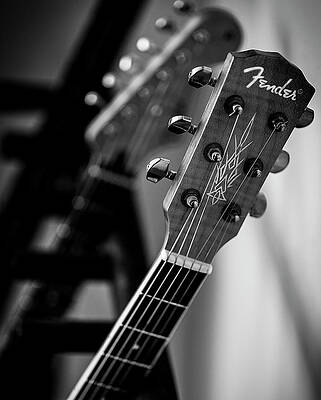 Fender by dv8ca by James Whitley Fender by dv8ca by James Whitley