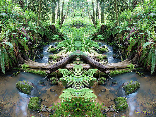 Fern Canyon in Mirrorland 1 by Ben Upham III Fern Canyon in Mirrorland 1 by Ben Upham III