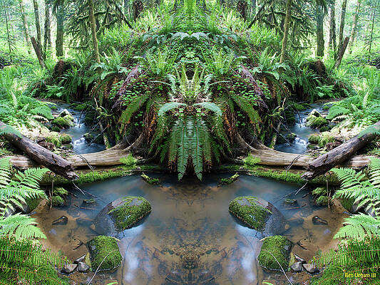 Fern Canyon in Mirrorland 2 by Ben Upham III Fern Canyon in Mirrorland 2 by Ben Upham III