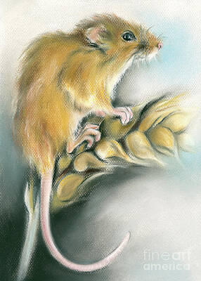 Field Mouse on a Wheat Stalk by MM Anderson Field Mouse on a Wheat Stalk by MM Anderson