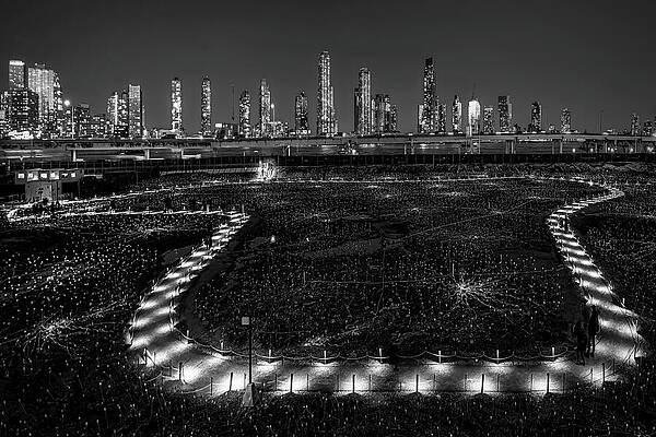 Wall Art - Photograph - Field of Light at Freedom Plaza NYC BW by Susan Candelario