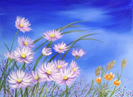 Field of Wildflowers 5 - Daisy Field by Helian Osher Field of Wildflowers 5 - Daisy Field by Helian Osher