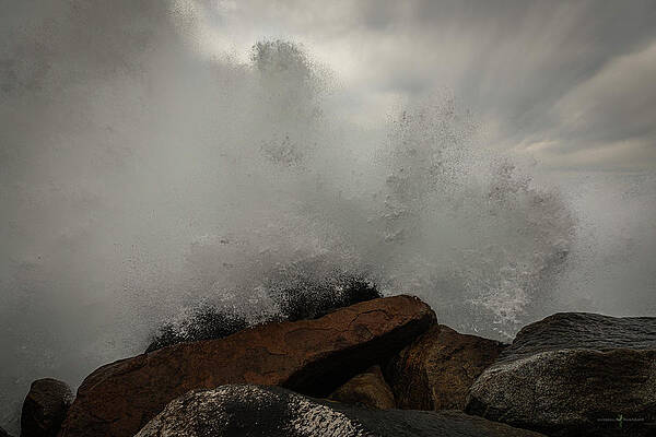 Final Wave by David Barile Final Wave by David Barile