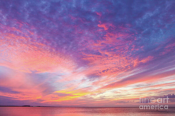 Fire in the Sky by Susan Vineyard Fire in the Sky by Susan Vineyard