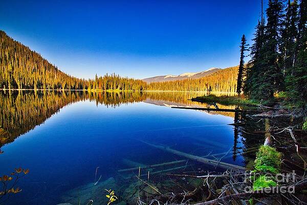 Fish Lake Reflections by Thomas Nay Fish Lake Reflections by Thomas Nay