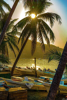 Wall Art - Photograph - Fishing Boats Zihuatenejo Mexico by Tommy Farnsworth