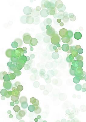 Fizz by SIMulate Fizz by SIMulate