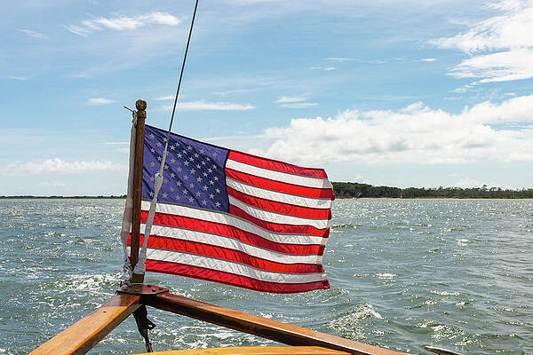 Flag Astern by Liz Albro Flag Astern by Liz Albro