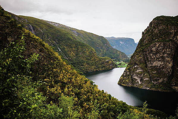 Flam Fjorrd by Jessica Griesbach