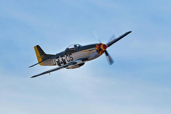 Wall Art - Photograph - Flight of the P51 by American Landscapes