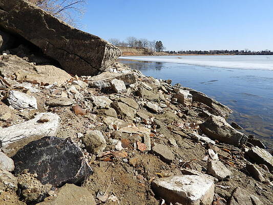 Wall Art featuring the photograph Flint On Patterson Shore by Amanda R Wright