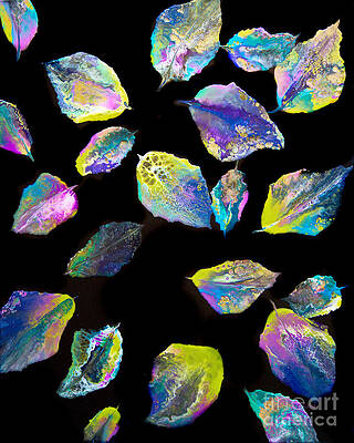 Floating Feathers 7045 by Priscilla Batzell Expressionist Art Studio Gallery Floating Feathers 7045 by Priscilla Batzell Expressionist Art Studio Gallery