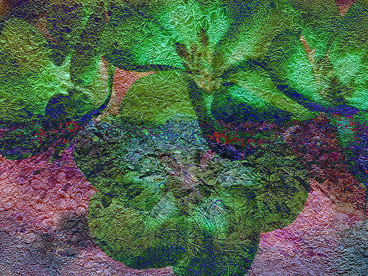 Floral Abstract Textured by Aimee L Maher ALM GALLERY Floral Abstract Textured by Aimee L Maher ALM GALLERY