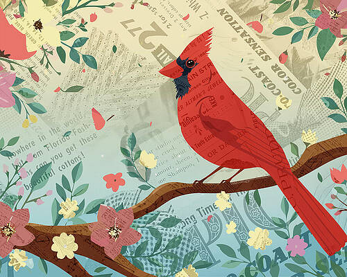 Nature Mixed Media - Floral Cardinal Collage by Dan Sproul